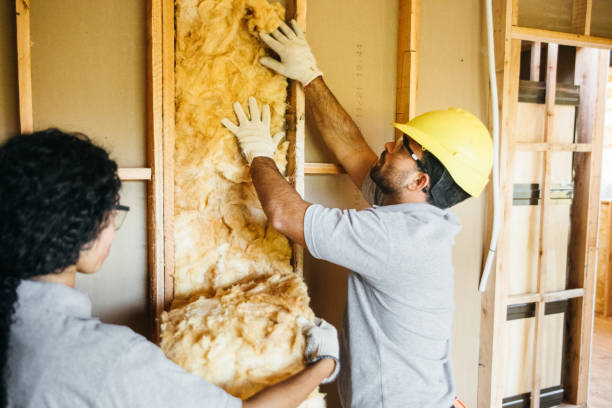 Best Insulation for New Construction  in Fairhope, AL